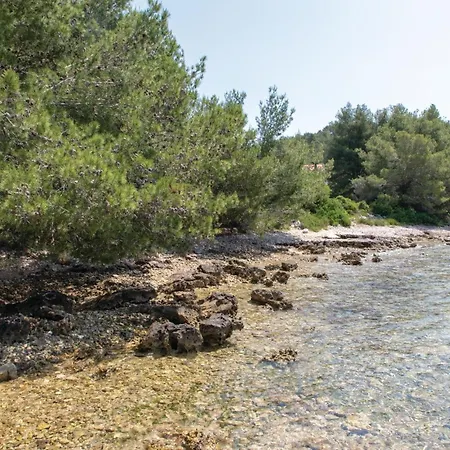 Beautiful In Gradina With Kitchen Casa vacanze Rudina