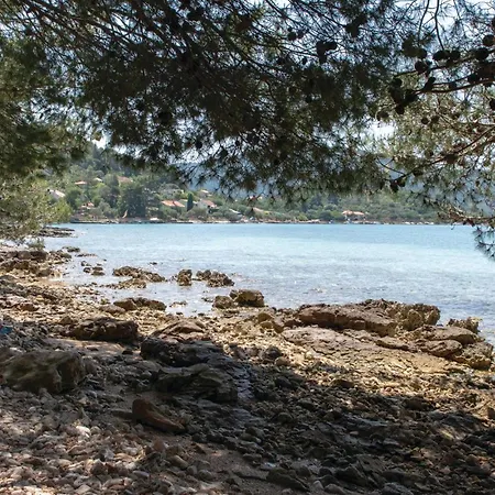 Beautiful In Gradina With Kitchen Casa vacanze Rudina